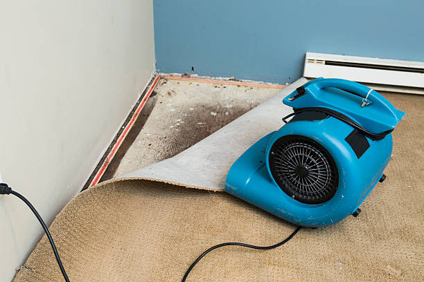 Best Sewage cleanup and water damage restoration  in Center Point, NM
